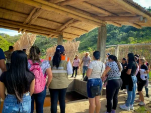 hacienda guadua bamboo fabrica