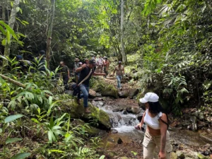 visita minga flautas tambores hacienda guadua bamboo 2025 4.jpg