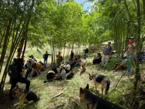 visita minga flautas tambores hacienda guadua bamboo 2025 5.jpg
