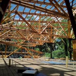 Cerchas en bambú guadua