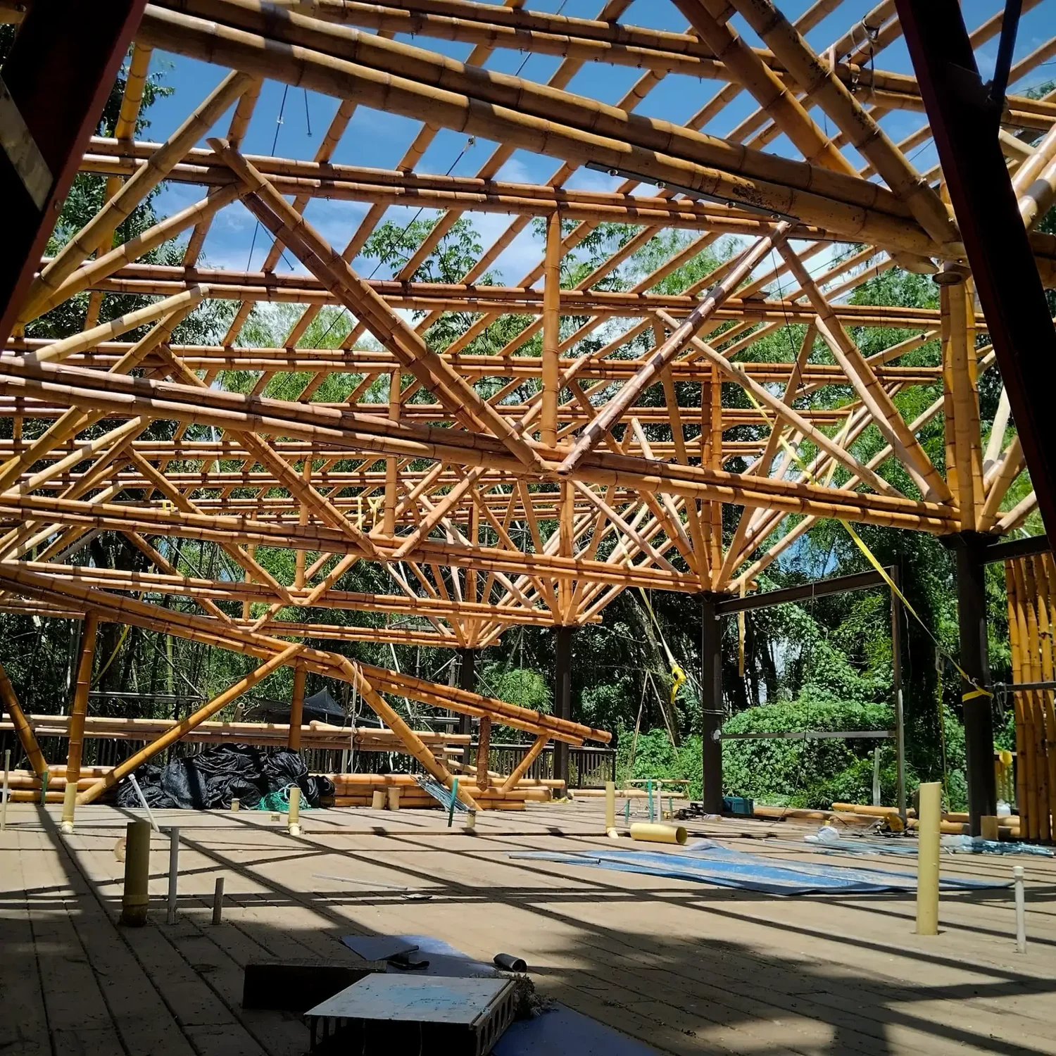 Cerchas en bambú guadua