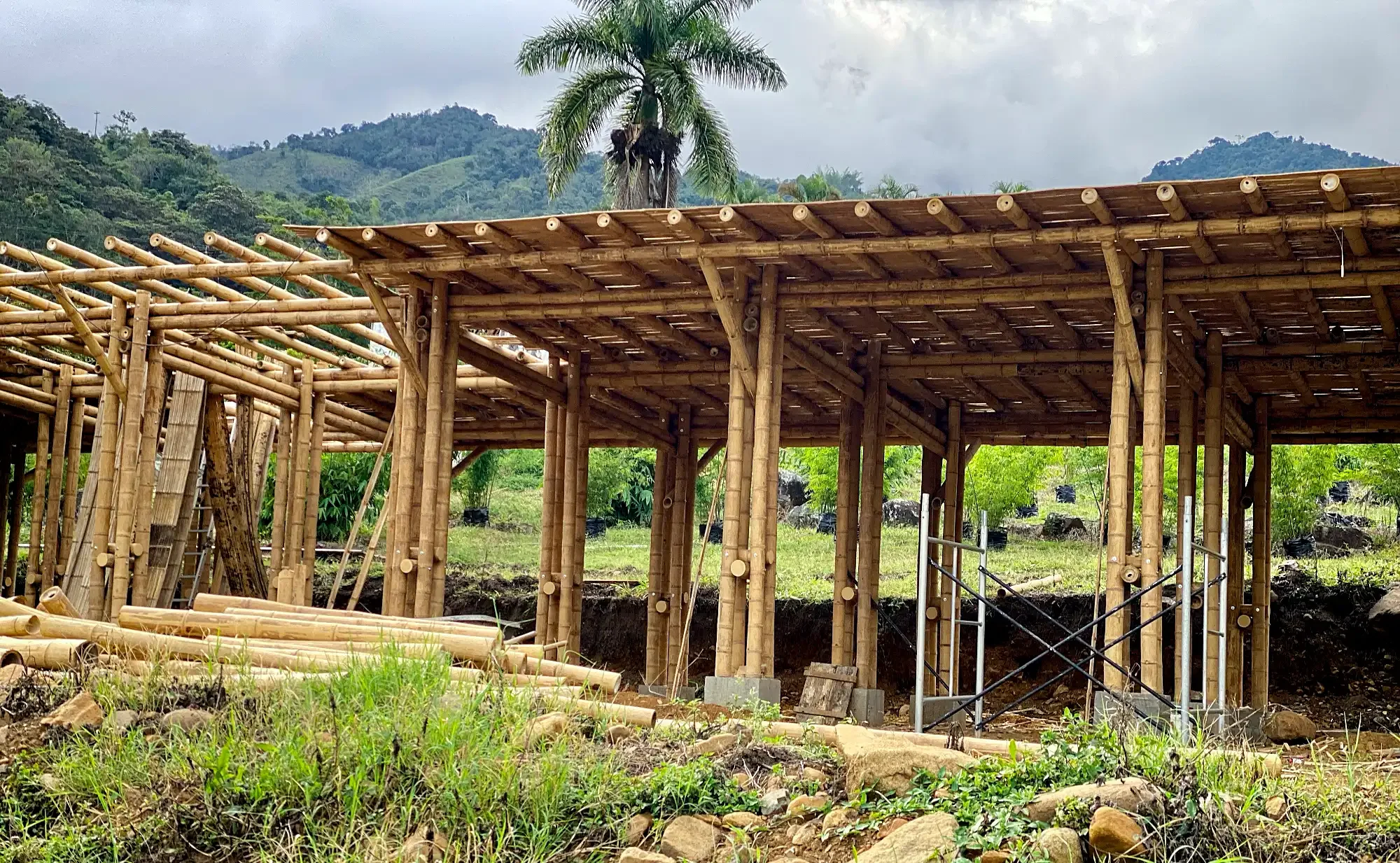 Estructura de bodega en guadua bamboo